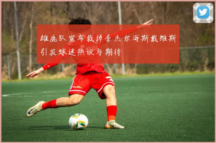 雄鹿队宣布裁掉奈杰尔海斯戴维斯引发球迷热议与期待