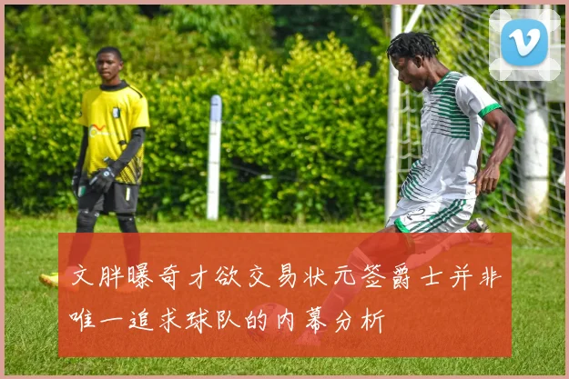 文胖曝奇才欲交易状元签爵士并非唯一追求球队的内幕分析