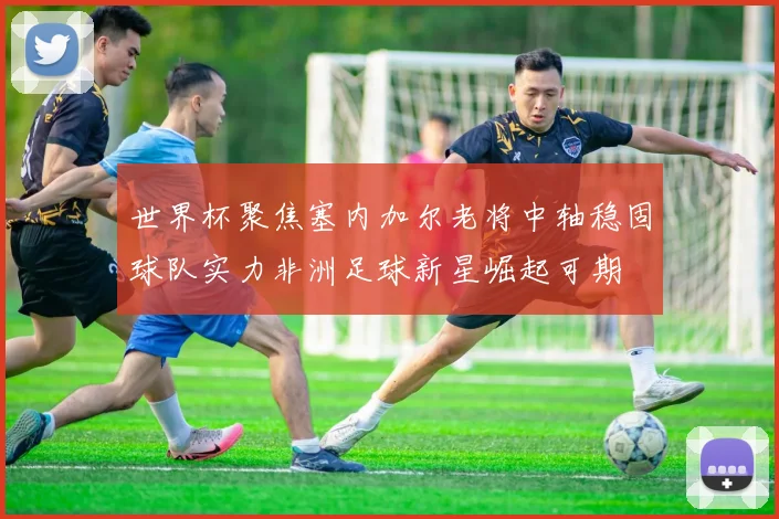 世界杯聚焦塞内加尔老将中轴稳固球队实力非洲足球新星崛起可期